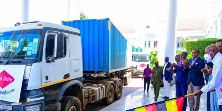 من المراعي الأوغندية إلى الأسواق الجزائرية