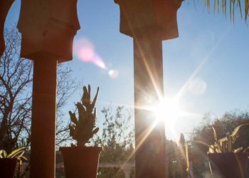 جنة العارف تحتفي بالعيش معًا بسلام