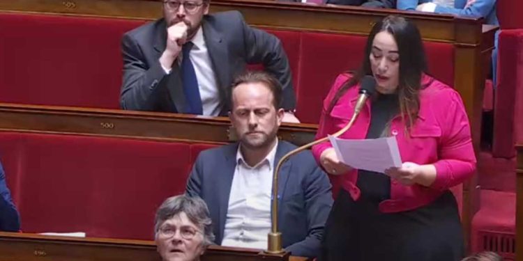 صبايحي: تم تسليح ميليشيات مدنية لقتل الجزائريين… وشهادات تتحدث عن أفران لإخفاء الجثث