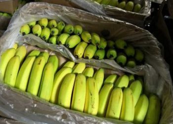 في خطوة لضبط السوق…تكليف شركات عمومية استيراد القهوة والموز