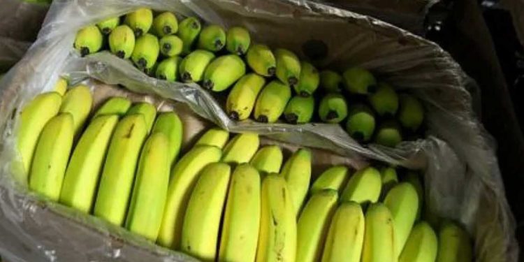 في خطوة لضبط السوق…تكليف شركات عمومية استيراد القهوة والموز