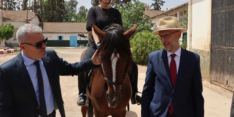 جامعة “جيلالي اليابس”…اتفاق جزائري-إيطالي لإنشاء مركز تكويني