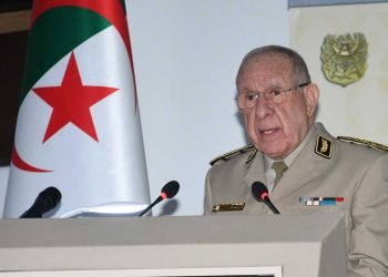 يوم أفريقيا…الجزائر تسلط الضوء على تحديات الساحل