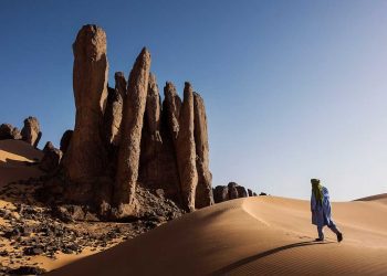 الصحراء الجزائرية: الدليل الشامل لاكتشاف آخر البراري الحقيقية في العالم