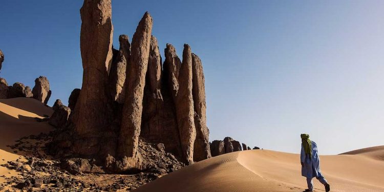 الصحراء الجزائرية: الدليل الشامل لاكتشاف آخر البراري الحقيقية في العالم