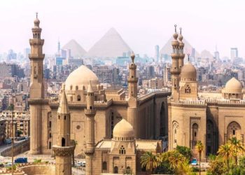 مصريون يطالبون بتمثال لرئيس جزائري في القاهرة