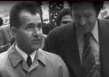 الشيخ القاسمي عن مولود قاسم…الجزائر شخصية حضارية