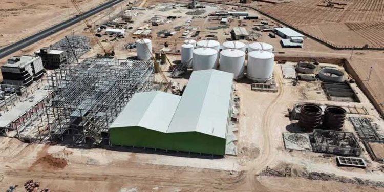 مكافحة الفساد…إعادة بعث مصنع إسمنت مصادر