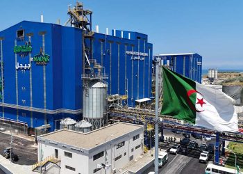 قريبًا.. استلام مركب “كتامة” لاستخراج الزيوت النباتية بجيجل