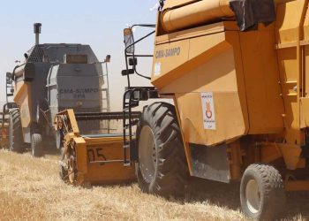 موقع إيطالي…الصحراء تتحول إلى قطب زراعي جديد