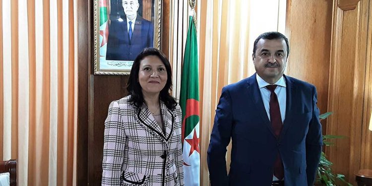 باحثة بالخارج تعرض دعمها لمسار التحول الطاقوي في الجزائر