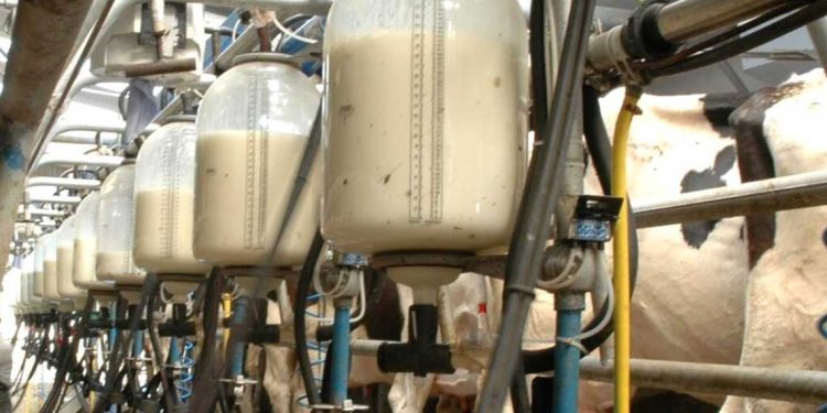 مشروع “بلدنا الجزائر”…عقود تفوق 500 مليون دولار لإنتاج الحليب