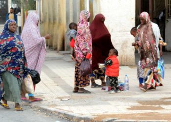 ترحيل المهاجرين غير النظاميين…حملة إعلامية ممنهجة ضد الجزائر