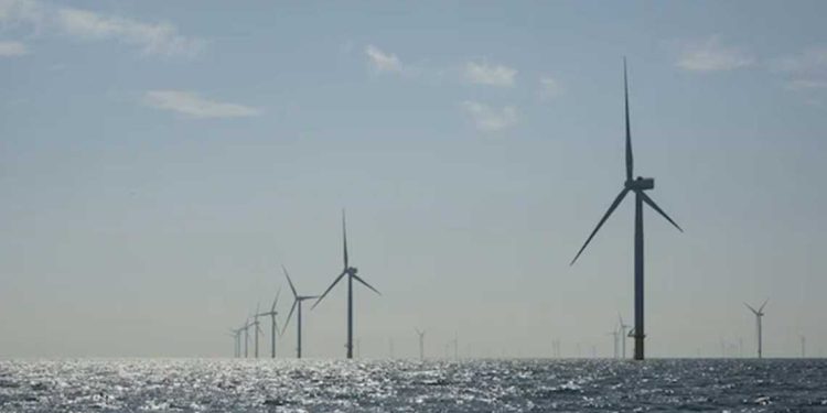 تعزيز التعاون مع هولندا في الطاقات النظيفة