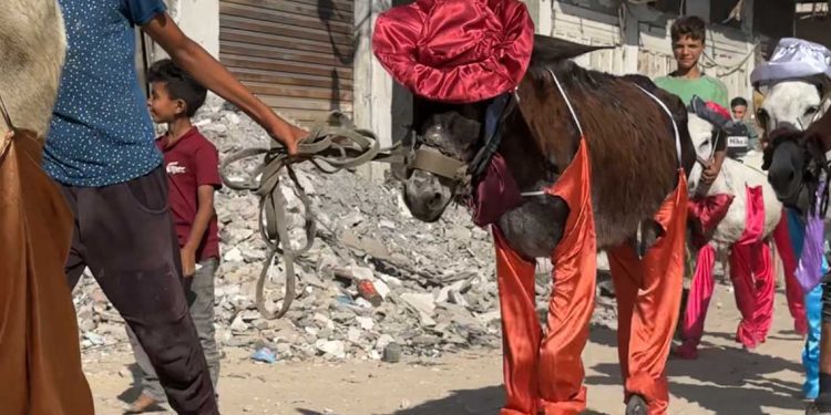 فيلم “حمار 7 أكتوبر”.. عندما يتحول الحيوان إلى بطل إنساني