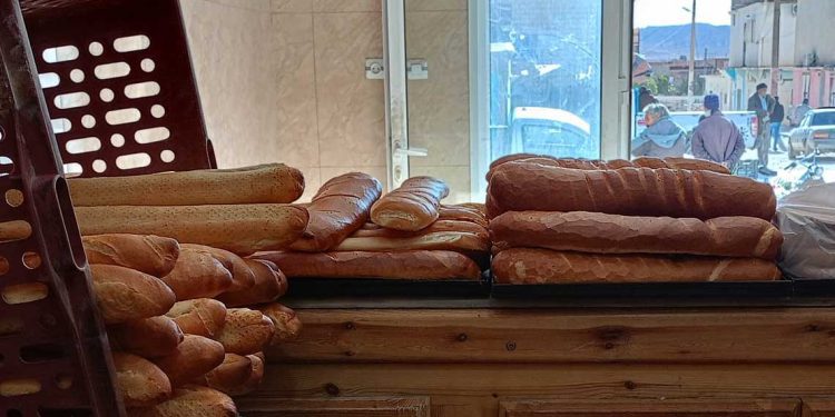 حملات وقائية للحد من التسممات الغذائية خلال الصيف