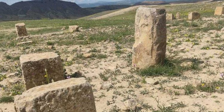 صون التراث…تصنيف مواقع أثرية و معالم