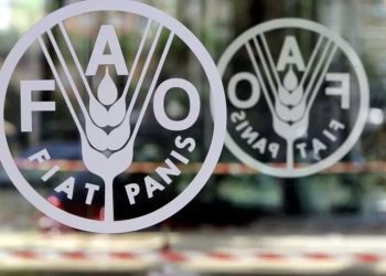 مصر تترأس مجلس الفاو التنفيذي لأول مرة منذ تأسيسه