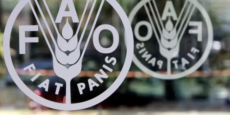 مصر تترأس مجلس الفاو التنفيذي لأول مرة منذ تأسيسه