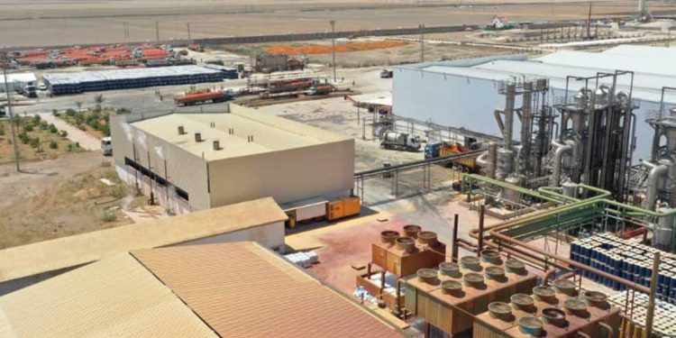 الامن الغذائي…توسعة مصنع لتعزيز تحويل الخضر والفواكه