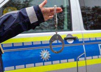 من هي أكثر الجنسيات المطلوبة للاعتقال في ألمانيا ؟