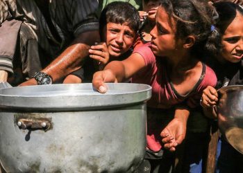 الأمم المتحدة تعلن رسميًا المجاعة في غزة