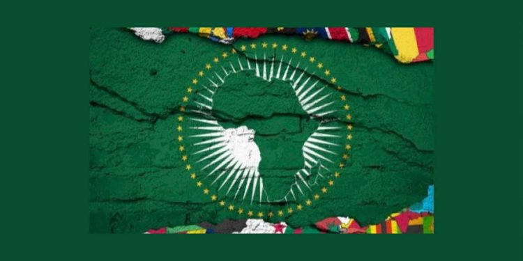 الجزائر تعزز مكانتها كفاعل محوري في الاندماج الإفريقي