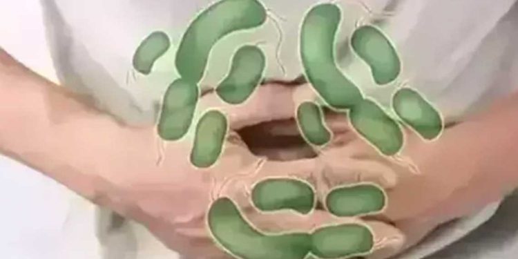 الصحة تحذّر من مخاطر التسممات الغذائية في الصيف