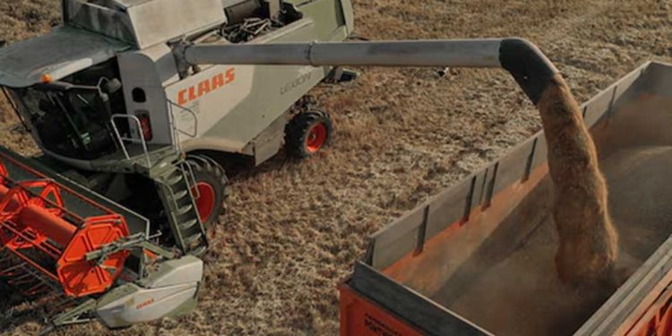 ارتفاع عقود القمح في بورصة باريس بعد إعلان مصر شراء 200 ألف طن من فرنسا