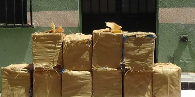 ضبط أزيد من 4 قناطير من الكيف عبر الحدود مع المغرب