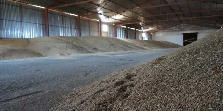 بعد استغناء الجزائر عن القمح الفرنسي… قطاع الحبوب الفرنسي يدق ناقوس الخطر