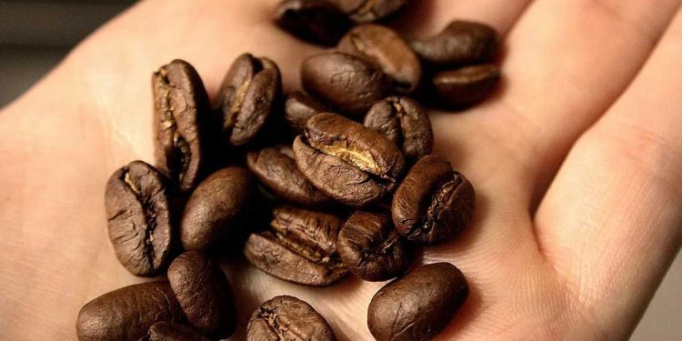 قهوة “أرابيكا” الأكثر ارتفاعاً في العالم