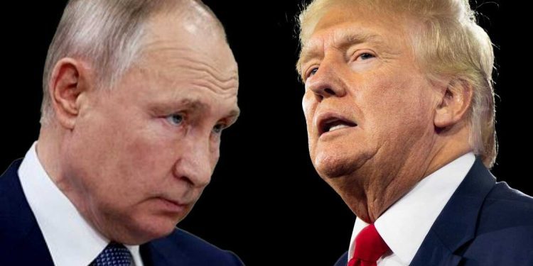 ما هو المنتظر من قمة ألاسكا بين ترامب وبوتين؟