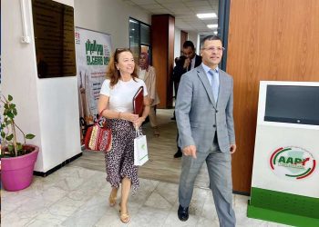 الاستثمار الأجنبي محور محادثات بين الجزائر والدانمارك