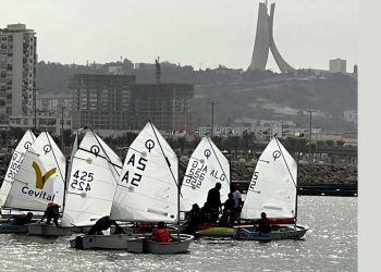 الجزائر العاصمة تنشط فضاءاتها العمومية بموازاة معرض التجارة البينية الإفريقية