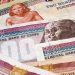 الجنيه المصري أقل من قيمته الحقيقية بـ30%.. الفقي يحدد السعر العادل
