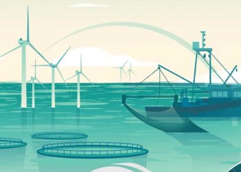 اكسبومير 2025…أول صالون للاقتصاد الأزرق