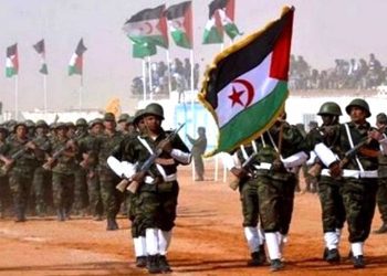 روسيا تؤكد على ضرورة حل نهائي لقضية الصحراء الغربية