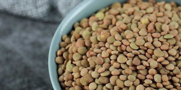 لدان عربيان في قائمة أكبر مستوردي العدس الروسي