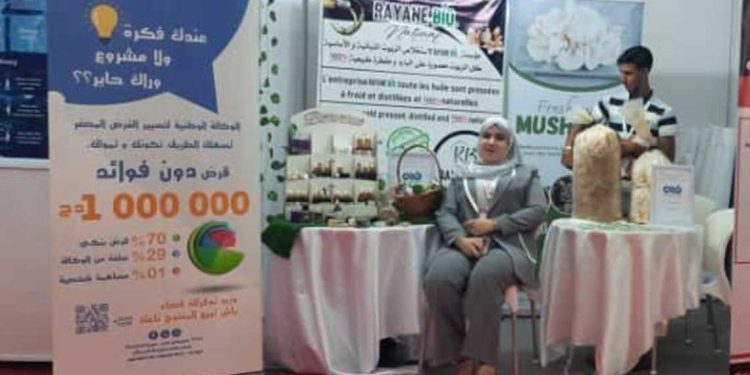 القرض المصغر…تمويل 9 آلاف مشروع مصغر