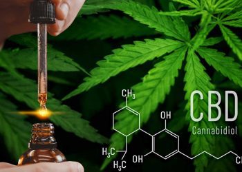 تصريحات ترامب تدفع أسهم شركات القنب للارتفاع