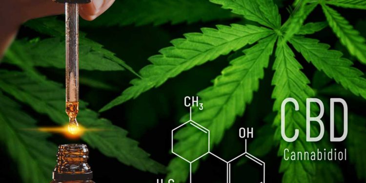 تصريحات ترامب تدفع أسهم شركات القنب للارتفاع