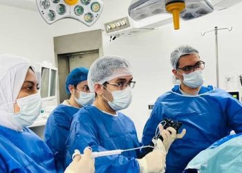 تقنية مدكور…ابتكار مصري في مناظير الجهاز الهضمي