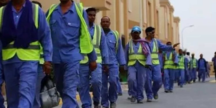 مصر …أبرز ملامح القانون الجديد في مصر ؟