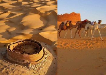 تيميمون تستعد لاحتضان المهرجان الدولي للسياحة الصحراوية في ديسمبر