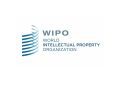الجزائر تدشن أول مكتب للويبو في إفريقيا والعالم العربي