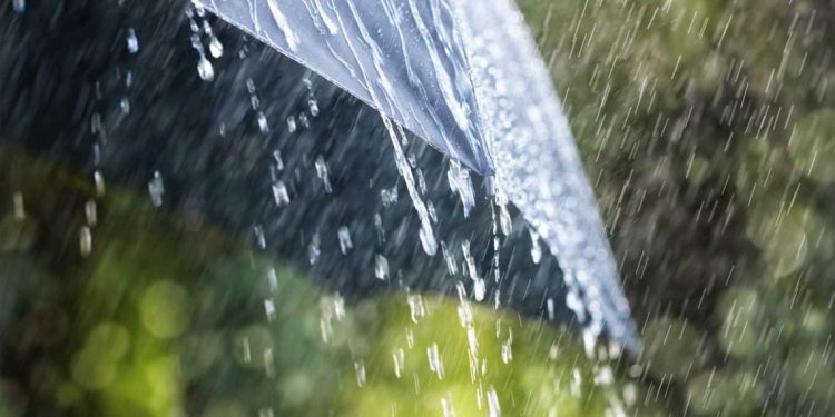 أرصاد جوية…أمطار رعدية في 47 ولاية