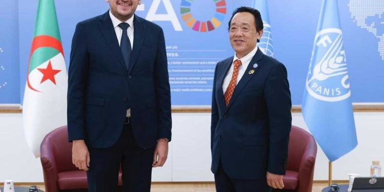 الأمن الغذائي…الجزائر والفاو تبحثان تعزيز الشراكة الزراعية
