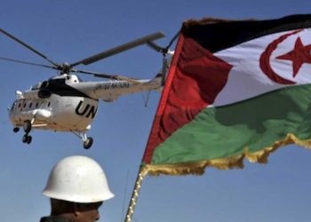 إنجاز 232 مركزاً لتجميع الحبوب بسعة 1.16 مليون طن