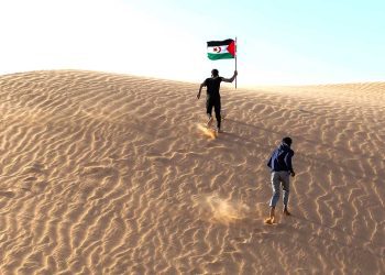 بريد الجزائر يطلق فعاليات “الشهر الوردي”